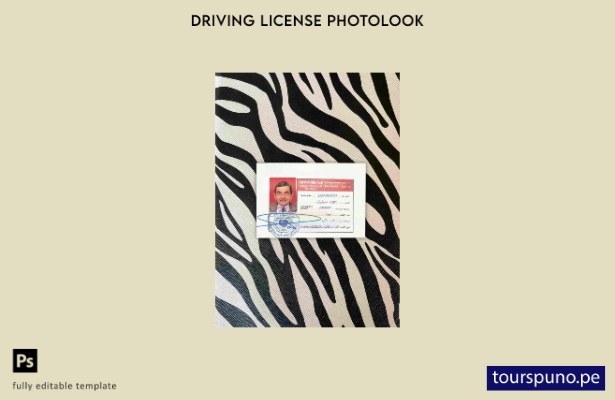 Plantilla FRONTAL lista para imprimir Libia DL photolook